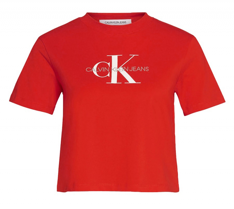 Dámské triko Calvin Klein J20J213692
